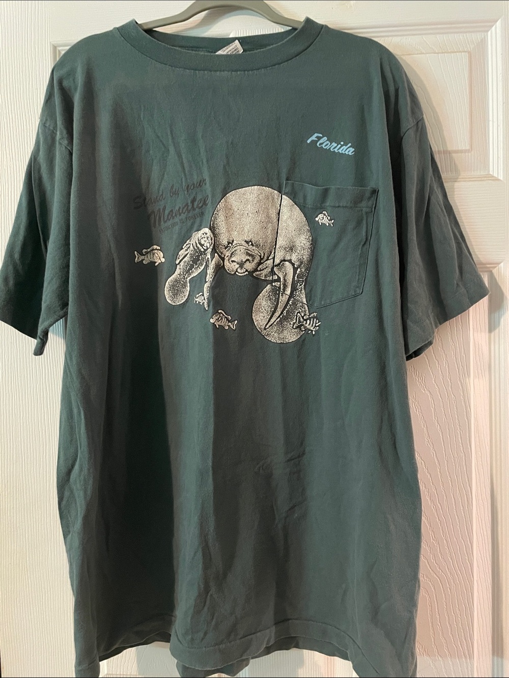 Florida Manatee Graphic Pocket T-Shirt - Dark Teal
